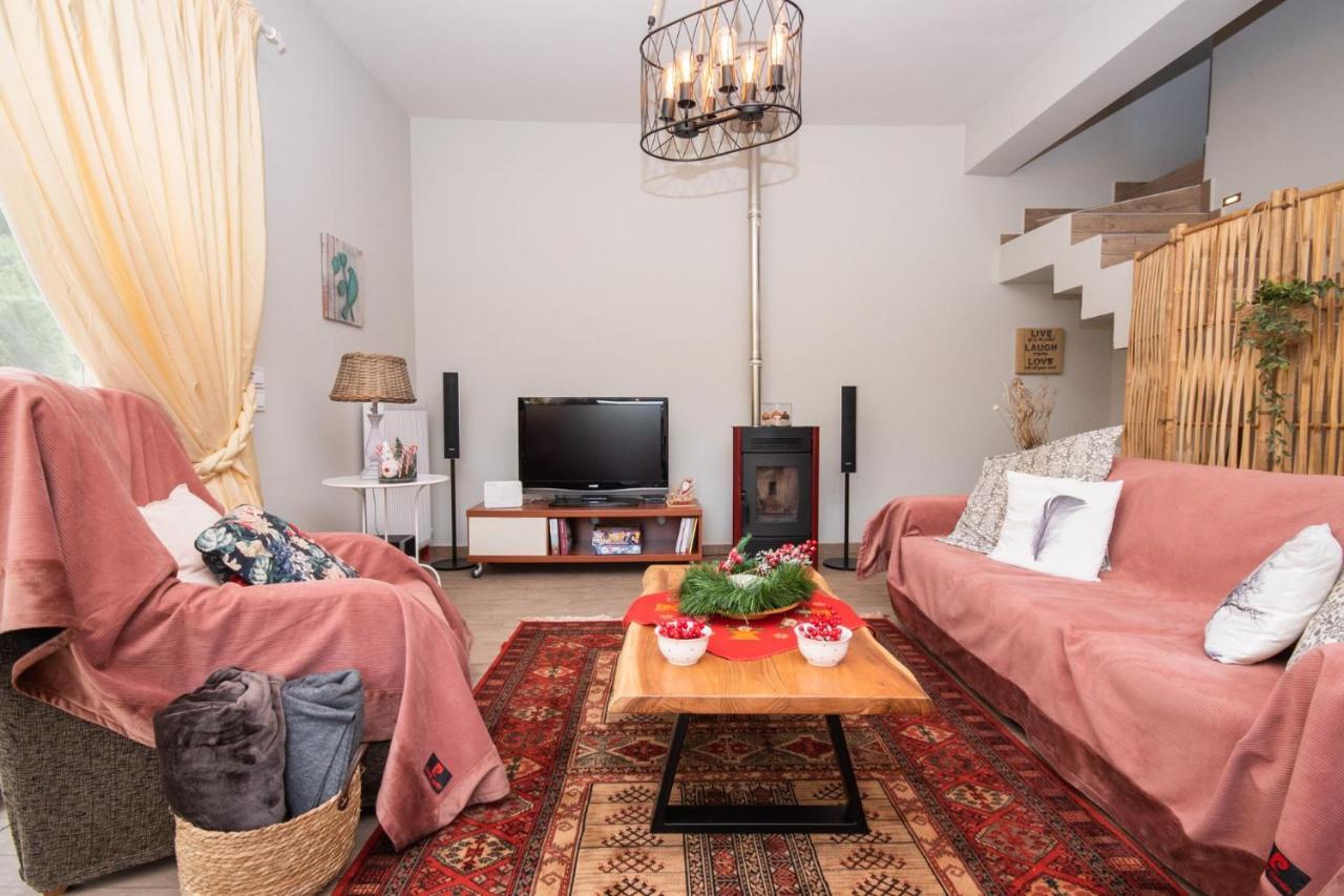 Stellas Guesthouse Near Arachova Stírion エクステリア 写真