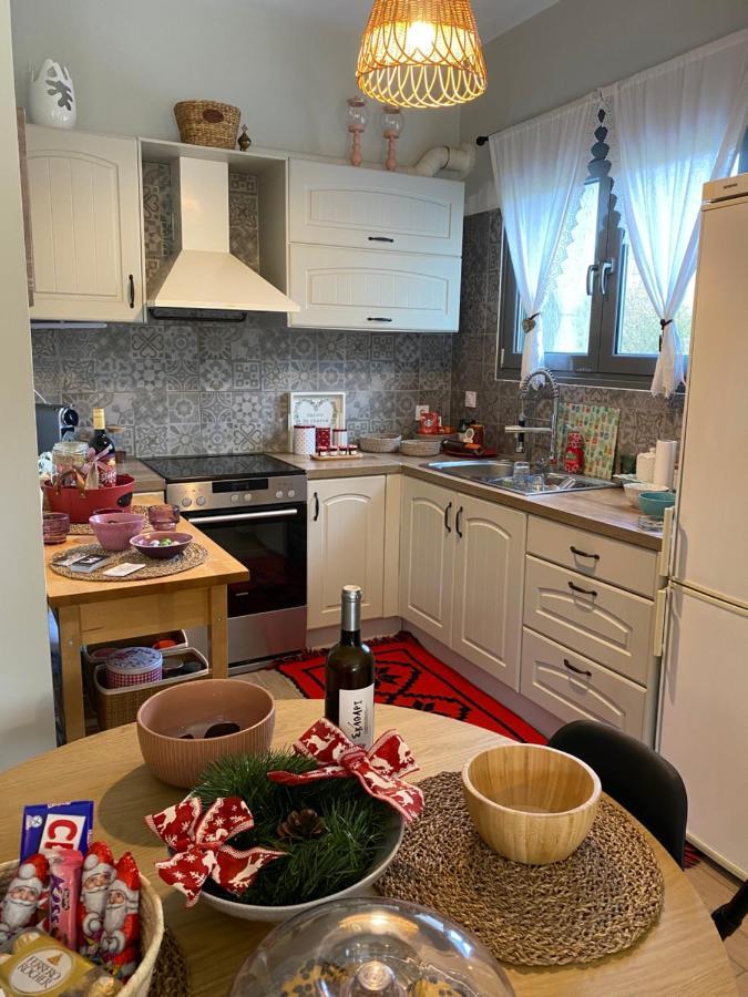 Stellas Guesthouse Near Arachova Stírion エクステリア 写真