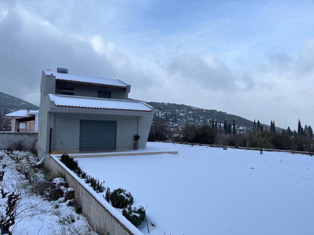 Stellas Guesthouse Near Arachova Stírion エクステリア 写真
