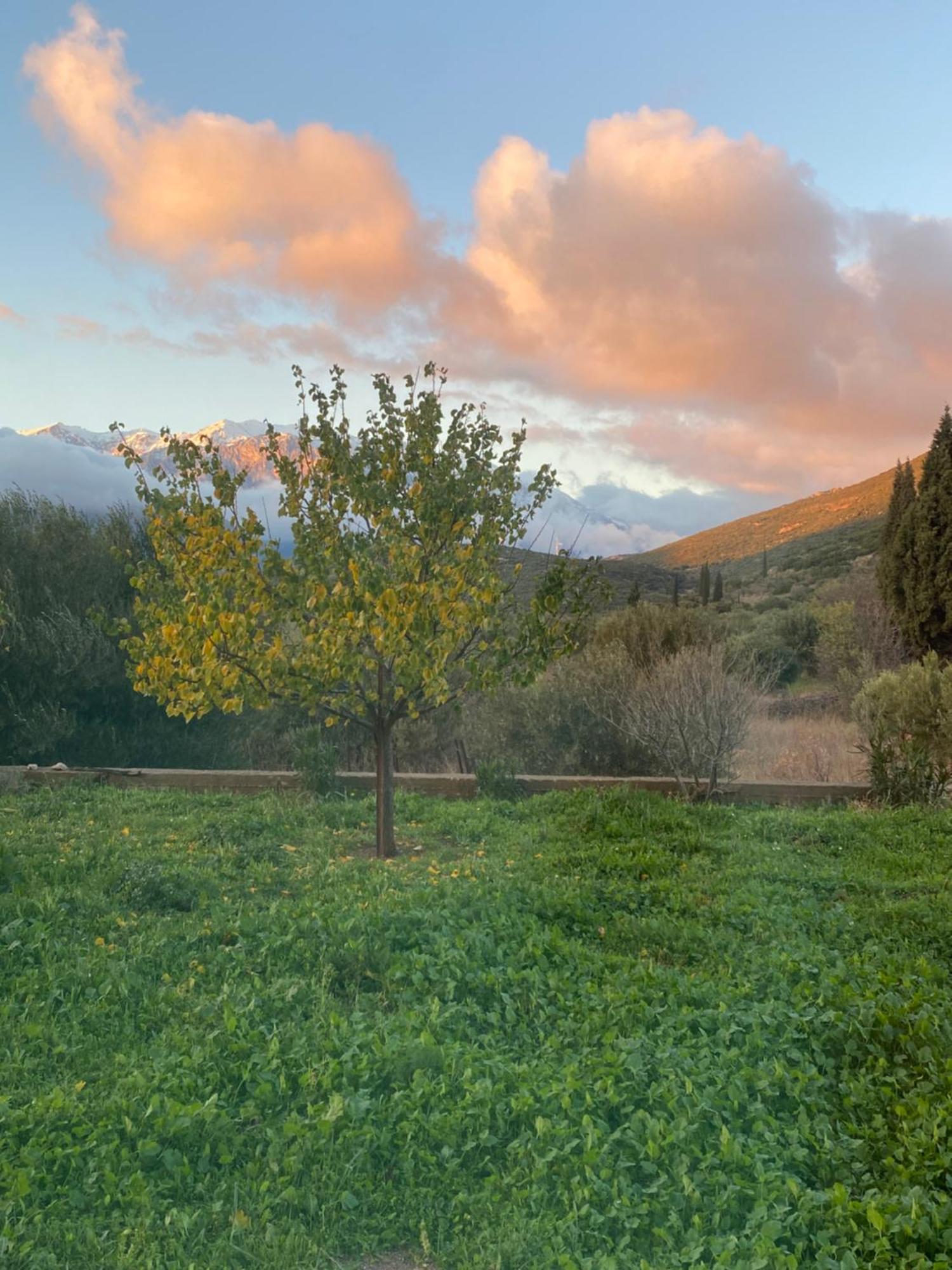 Stellas Guesthouse Near Arachova Stírion エクステリア 写真