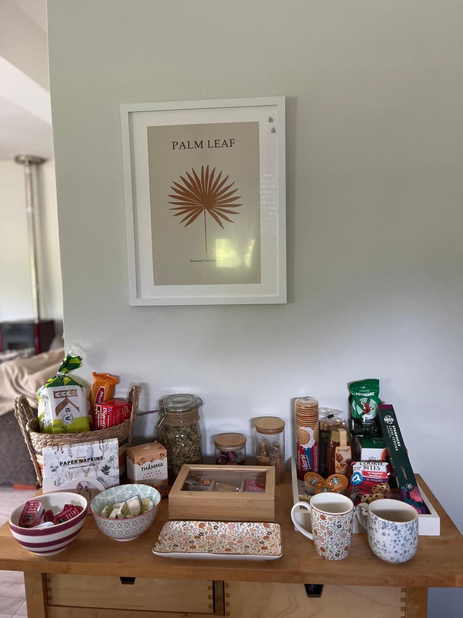Stellas Guesthouse Near Arachova Stírion エクステリア 写真