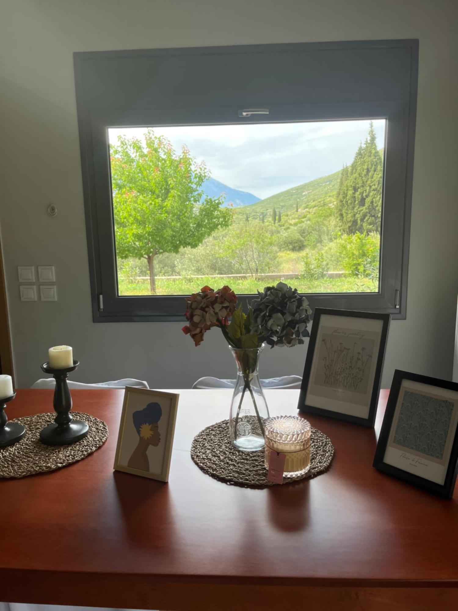 Stellas Guesthouse Near Arachova Stírion エクステリア 写真