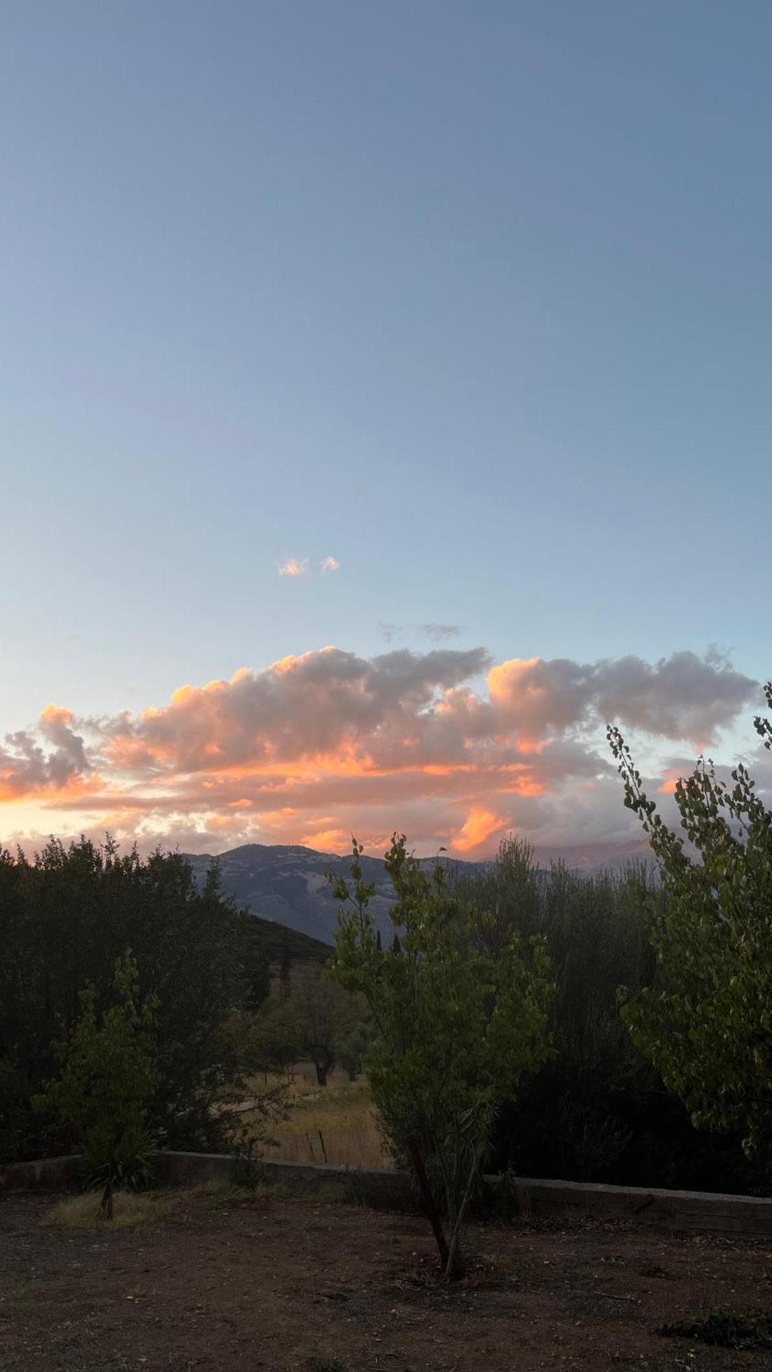 Stellas Guesthouse Near Arachova Stírion エクステリア 写真