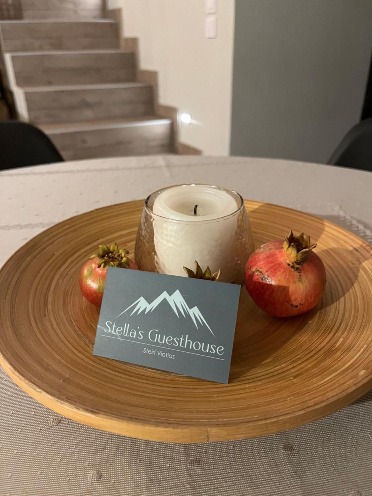 Stellas Guesthouse Near Arachova Stírion エクステリア 写真