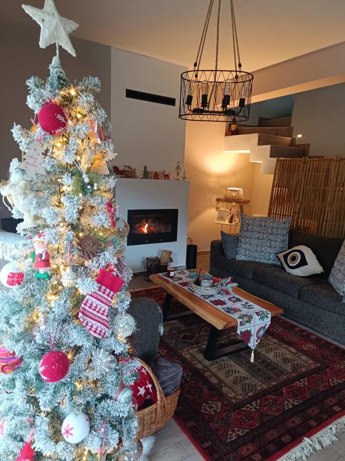 Stellas Guesthouse Near Arachova Stírion エクステリア 写真